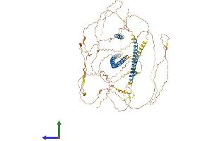 AlphaFold protein structure predicition of Mouse Recombinant Map7d3 Protein, UniprotID A2AEY4