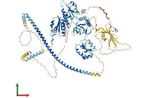 Protein Structure (PS) image for Thioredoxin Domain Containing 11 (TXNDC11) (AA 1-985) protein (His tag) (ABIN7555902)