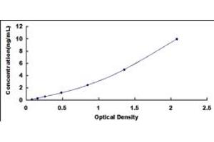 SMPD2 ELISA Kit