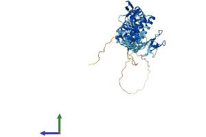 AlphaFold protein structure predicition of Human Recombinant RNF14 Protein, UniprotID Q9UBS8 (RNF14 Protein (AA 1-474) (His tag))