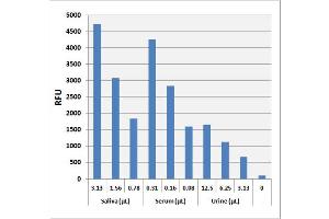 Lactate detection in human saliva, serum, or urine using the Lactate Assay Kit (Fluorometric) (Lactate Assay Kit (Fluorometric))