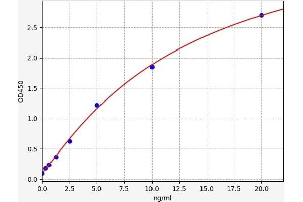 PLSCR1 ELISA Kit