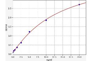 Typical standard curve (PLSCR1 ELISA Kit)