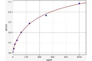 Chemokine (C-C Motif) Ligand 5 (CCL5) ELISA Kit