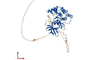 AlphaFold protein structure predicition of Mouse Recombinant Csnk1g2 Protein, UniprotID Q8BVP5 (Casein Kinase 1 gamma 2 Protein (AA 1-415) (His tag))