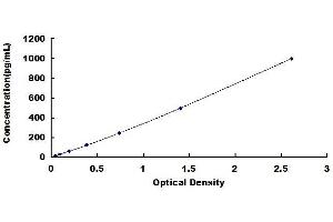 Typical standard curve (IL23A ELISA Kit)