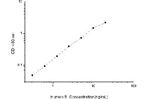 Sucrase Isomaltase ELISA Kit