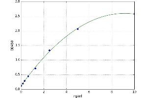 A typical standard curve (DUSP1 ELISA Kit)