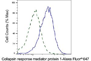 Validation of Collapsin response mediator protein 1 knockdown using flow cytometry.