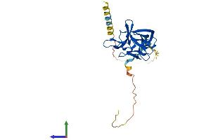 Protein Structure (PS) image for Fibroblast Growth Factor 13 (FGF13) (AA 1-245) protein (His tag) (ABIN7556708)