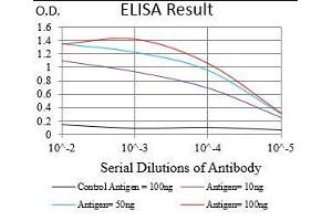 Black line: Control Antigen (100 ng), Purple line: Antigen(10 ng), Blue line: Antigen (50 ng), Red line: Antigen (100 ng), (beta-2 Microglobulin antibody  (AA 21-100))