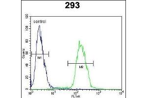 MYC-pS62 Antibody (ABIN388721 and ABIN2838830) flow cytometric analysis of 293 cells (right histogram) compared to a negative control cell (left histogram). (c-MYC antibody  (AA 40-69))