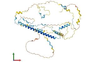 AlphaFold protein structure predicition of Human Recombinant WASH3P Protein, UniprotID C4AMC7 (WASH3P Protein (AA 1-463) (His tag))