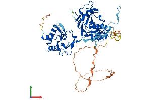 Protein Structure (PS) image for SMAD Family Member 9 (SMAD9) (AA 1-467) protein (His tag) (ABIN7546208)