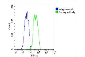 Flow Cytometry (FACS) image for anti-Cartilage Oligomeric Matrix Protein (COMP) (AA 314-343) antibody (ABIN390893)