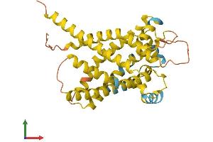 AlphaFold protein structure predicition of Human Recombinant UCP2 Protein, UniprotID P55851 (UCP2 Protein (AA 1-309) (His tag))