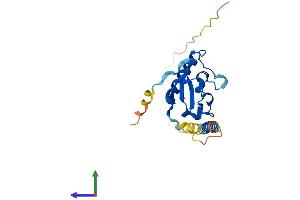 Protein Structure (PS) image for Progesterone Receptor Membrane Component 2 (PGRMC2) (AA 1-217) protein (His tag) (ABIN7558342)