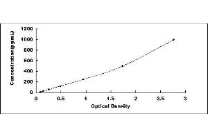 Typical standard curve (PARK7/DJ1 ELISA Kit)