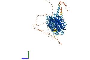 Protein Structure (PS) image for Solute Carrier Family 12 (Sodium/potassium/chloride Transporters), Member 1 (SLC12A1) (AA 1-1099) protein (His tag) (ABIN7555340)