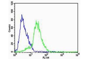 Flow cytometric analysis of SH-SY5Y cells using STRADA Antibody (C-term)(green, CatC) compared to an isotype control of rabbit IgG(blue). (STRADA antibody  (C-Term))