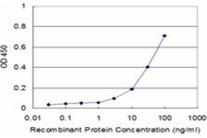 Detection limit for recombinant GST tagged MPP1 is approximately 3ng/ml as a capture antibody. (MPP1 antibody  (AA 1-466))