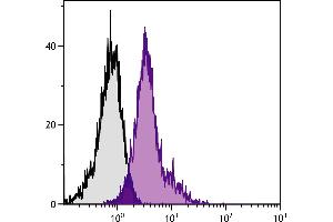 C57BL/6 mouse bone marrow cells were stained with Rat Anti-Mouse CD49e-AF647. (ITGA5 antibody  (FITC))