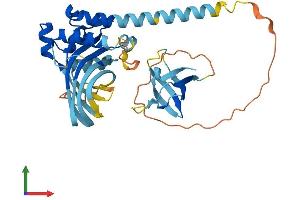 AlphaFold protein structure predicition of Human Recombinant SH3YL1 Protein, UniprotID Q96HL8 (SH3YL1 Protein (AA 1-342) (His tag))