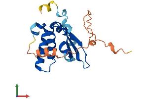 AlphaFold protein structure predicition of Mouse Recombinant Khdc1a Protein, UniprotID Q3UWR2