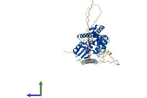 AlphaFold protein structure predicition of Human Recombinant FAXC Protein, UniprotID Q5TGI0 (C6orf168 Protein (AA 1-409) (His tag))