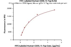 ELISA image for Tumor Necrosis Factor Receptor Superfamily, Member 8 (TNFRSF8) (AA 19-379) (Active) protein (Fc Tag,FITC) (ABIN6972983)