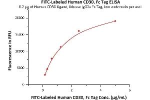 Immobilized Human CD30 Ligand, Mouse IgG2a Fc Tag, low endotoxin (ABIN5954987,ABIN6253579) at 2 μg/mL (100 μL/well) can bind Fed Human CD30, Fc Tag (ABIN6972983) with a linear range of 0. (TNFRSF8 Protein (AA 19-379) (Fc Tag,FITC))