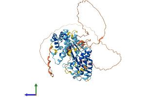 AlphaFold protein structure predicition of Mouse Recombinant Irak2 Protein, UniprotID Q8CFA1 (IRAK2 Protein (AA 1-622) (His tag))