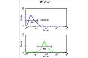 AIM2 Antibody (N-term) flow cytometric analysis of MCF-7 cells (bottom histogram) compared to a negative control cell (top histogram). (AIM2 antibody  (N-Term))