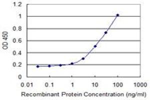 Detection limit for recombinant GST tagged NXF3 is 0. (NXF3 antibody  (AA 1-531))