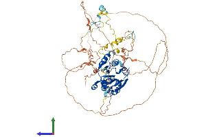 Protein Structure (PS) image for Methylphosphate Capping Enzyme (MEPCE) (AA 1-689) protein (His tag) (ABIN7549383)