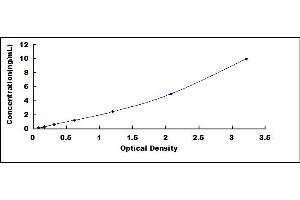 XRCC5 ELISA Kit