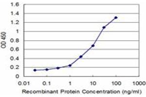 Detection limit for recombinant GST tagged TNKS is approximately 0. (TNKS antibody  (AA 1017-1124))