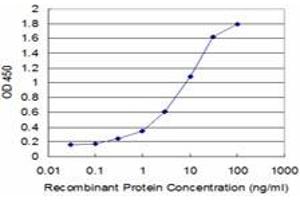 Detection limit for recombinant GST tagged POU3F2 is approximately 0. (POU3F2 antibody  (AA 1-67))