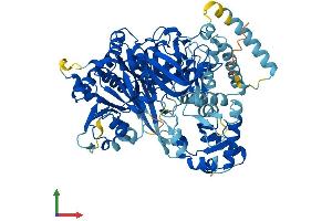 Protein Structure (PS) image for Acyl-CoA Synthetase Long-Chain Family Member 3 (Acsl3) (AA 1-720) protein (His tag) (ABIN7551859)