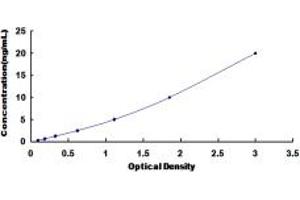 Typical standard curve (P-Cadherin ELISA Kit)