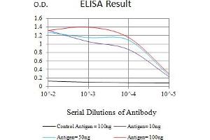 Black line: Control Antigen (100 ng),Purple line: Antigen (10 ng), Blue line: Antigen (50 ng), Red line:Antigen (100 ng) (MLL/KMT2A antibody  (AA 801-956))