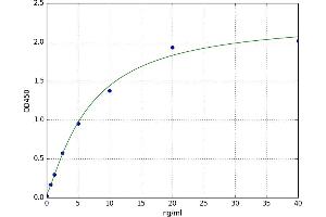 Heparan Sulfate Proteoglycan 2 (HSPG2) ELISA Kit