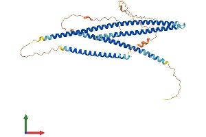 AlphaFold protein structure predicition of Mouse Recombinant Ccdc78 Protein, UniprotID D3Z5T1