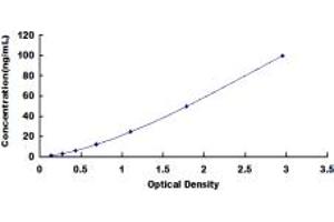 Major Histocompatibility Complex, Class II, DR beta 1 (HLA-DRB1) ELISA Kit
