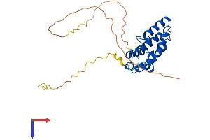 AlphaFold protein structure predicition of Human Recombinant RGS18 Protein, UniprotID Q9NS28 (RGS18 Protein (AA 1-235) (His tag))