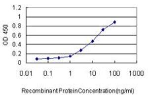 Detection limit for recombinant GST tagged TAF1 is approximately 0. (TAF1 antibody  (AA 1784-1893))