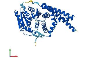 AlphaFold protein structure predicition of Human Recombinant UGCG Protein, UniprotID Q16739 (UGCG Protein (AA 1-394) (His tag))