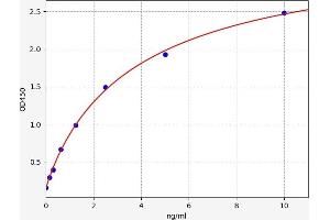 DLK1 ELISA Kit