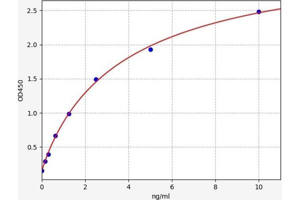 DLK1 ELISA Kit