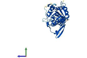 Protein Structure (PS) image for Uridine Phosphorylase 2 (UPP2) (AA 1-317) protein (His tag) (ABIN7544956)